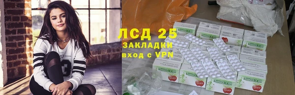 твердый Гусев
