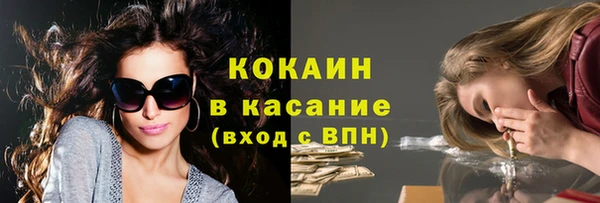 твердый Гусев