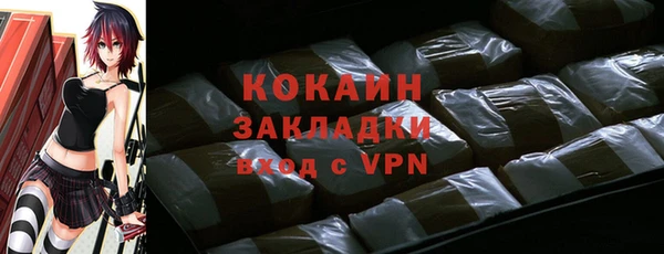 твердый Гусев
