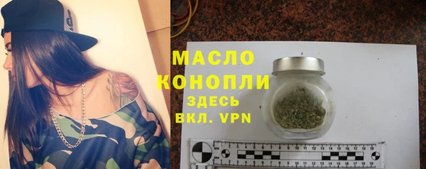 твердый Гусев