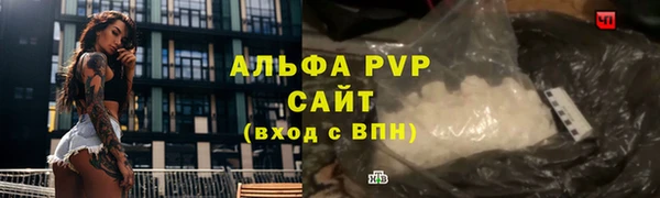 твердый Гусев