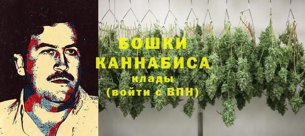 твердый Гусев