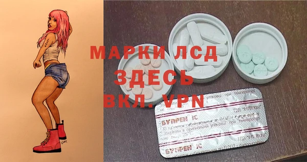 твердый Гусев