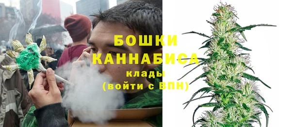 Альфа ПВП Гусь-Хрустальный