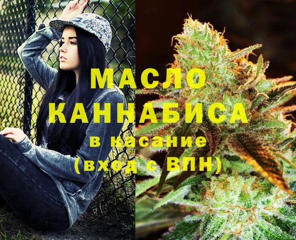 твердый Гусев