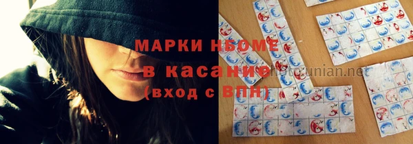 твердый Гусев