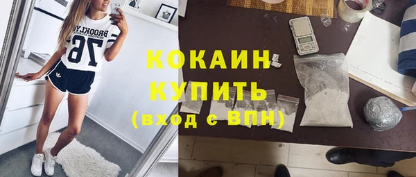 Альфа ПВП Гусь-Хрустальный
