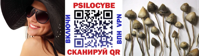 Псилоцибиновые грибы GOLDEN TEACHER  Купить  Козловка 